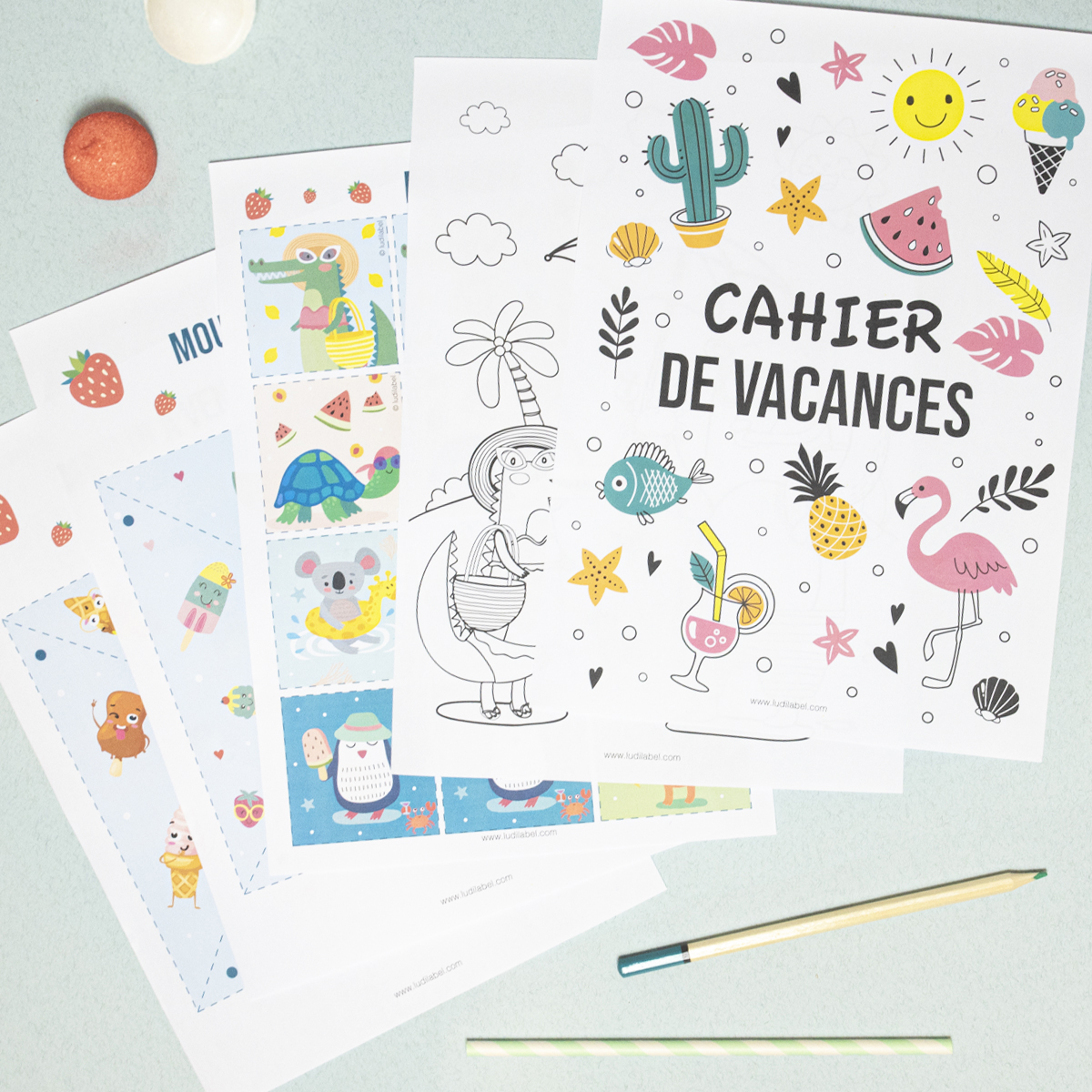DIY Printable Cahier de Vacances
