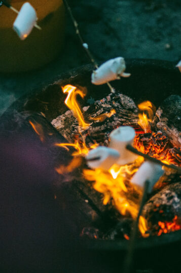 Photo d'une colonie de vacance marshmallow grillé au feu de bois de Josh Campbell sur Unsplash
